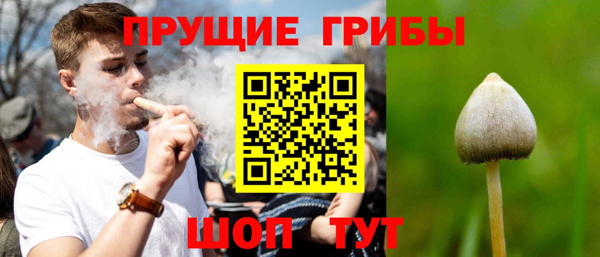 Аша  Псилоцибиновые грибы Cubensis  Псилоцибиновые грибы Magic Shrooms  Вход с VPN 