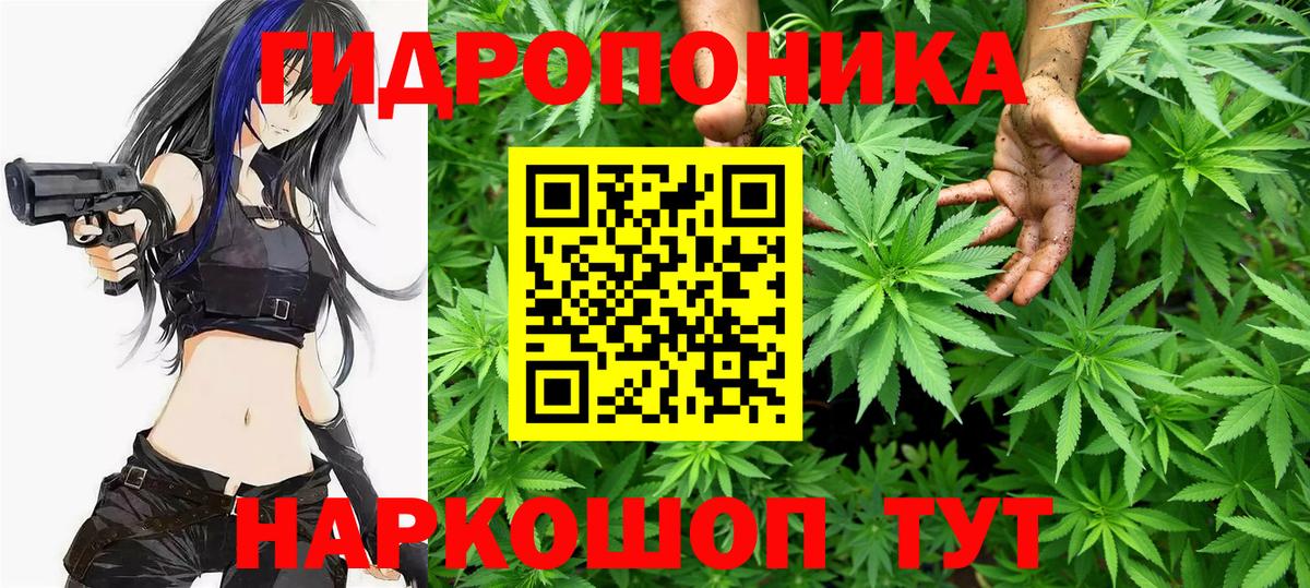 Шишки марихуана гибрид  Вход с VPN  МАРИХУАНА OG Kush  Марихуана Amnesia  Аша 